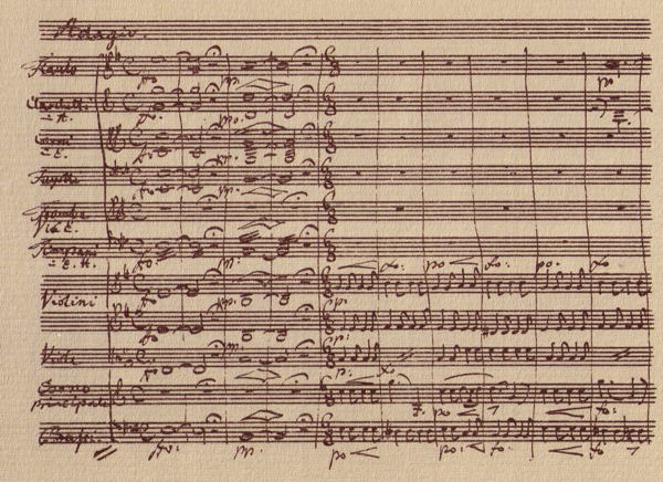 Weber, Concertino for Horn, op.45