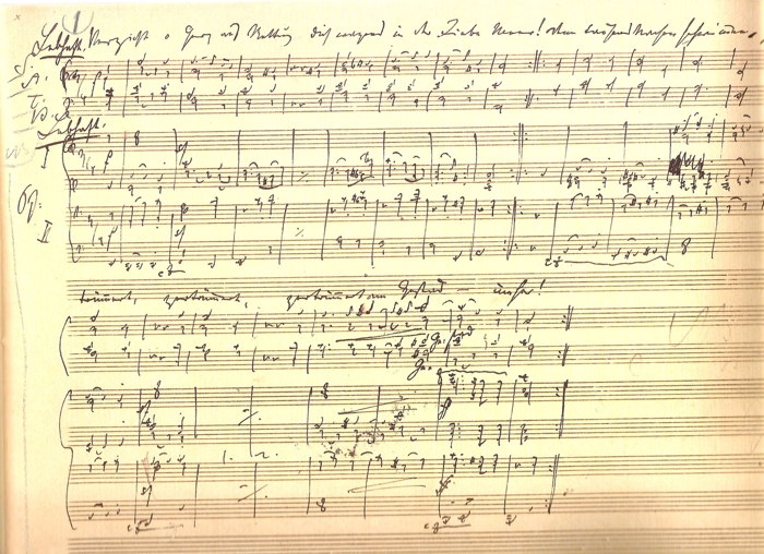 Brahms, Neue Liebeslieder Walzer op.65