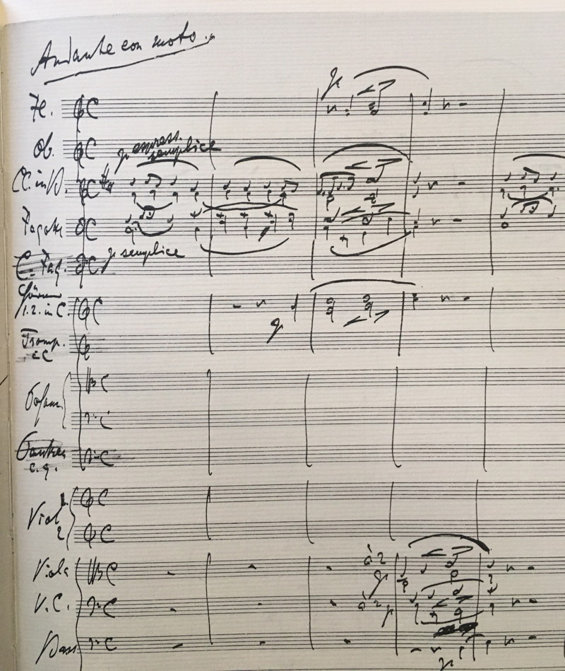 Brahms, op.24, 23,
              18, 90