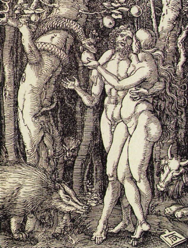 Dürer