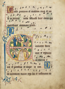 Codex Gisle, 5