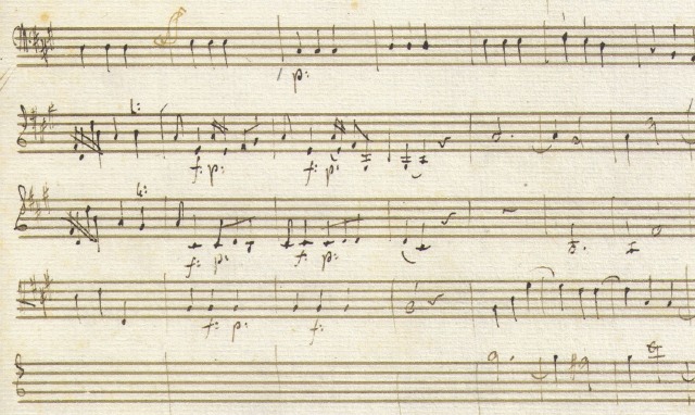 Haydn, Concerto for Horn D major