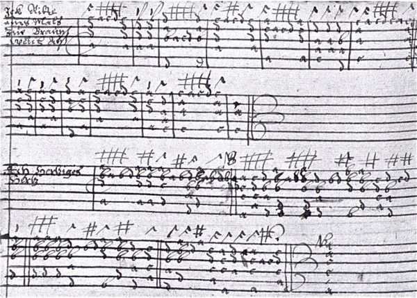 Nauclerus Lute Book
