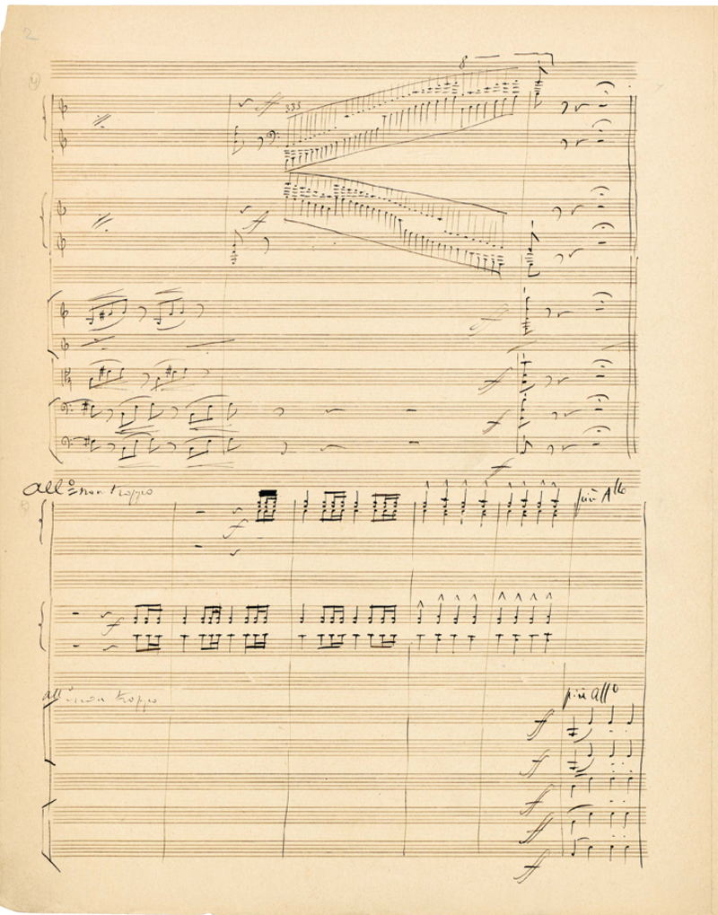 The Carnival of Animals, work by Saint-Saëns