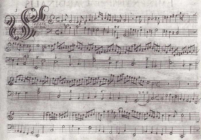 Schmelzer, Sonatae unarum fidium