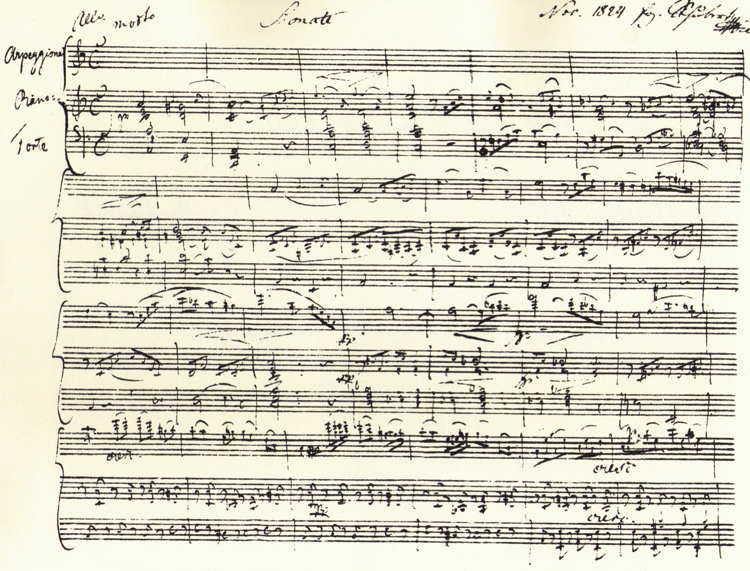 Schubert. Sonata for Arpeggione & Pianoforte D.821